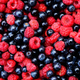 Illustration for article titled Justin Timberlake's “braspberries” may come to fruition